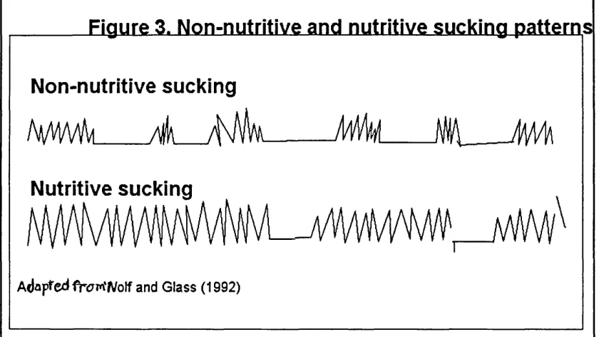 Figure 3. Non-nutritive and nutritive sucking patterns