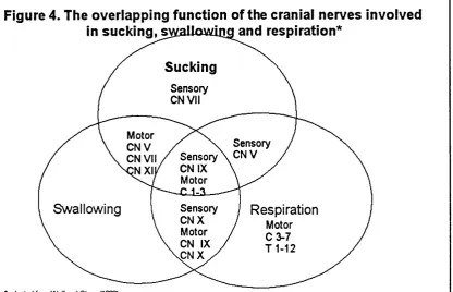 Figure 4. The overlapping function of the cranial nerves involved 