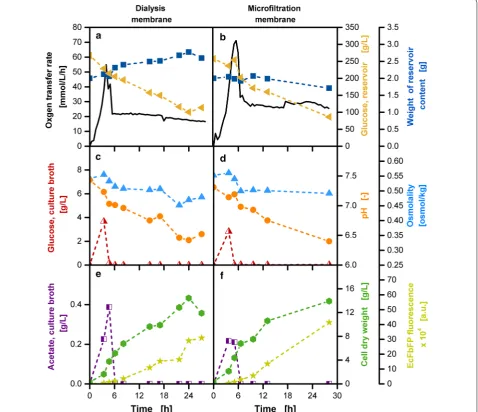 Fig. 7 Online and offline characterization of cultivations with a dialysis membrane and a microfiltration membrane in E