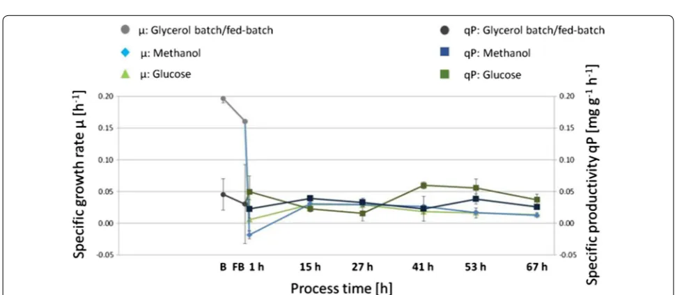 Fig. 1 Schematic representation of the fed-batch cultivations for transcriptional analysis of P