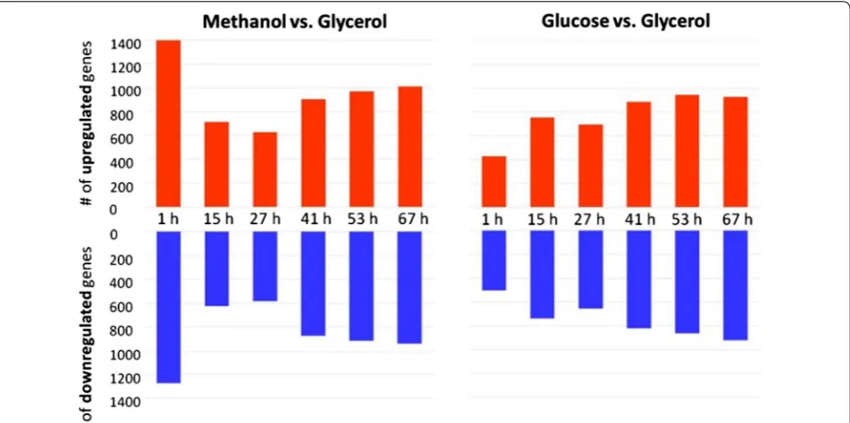 Fig. 3 Number of differentially regulated genes (up or down) in the methanol or glucose fed-batch compared to the glycerol fed-batch