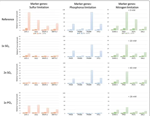 Fig. 9 Relative transcript levels of selected marker genes for sulfur-, phosphorus-, and nitrogen limitation in the reference and supplemented culti-vations (1× SO4, 2×  SO4, 1×  PO4)