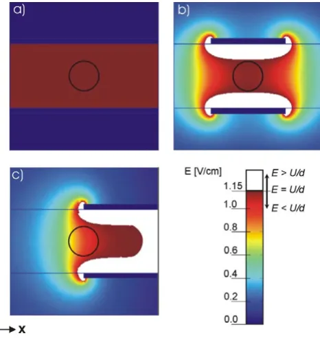 Figure 3parallel plate electrodesCalculated electric field distribution for the geometries with Calculated electric field distribution for the geometries with parallel plate electrodes