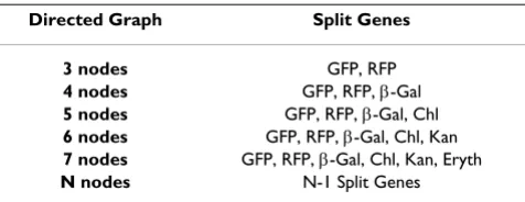 Table 1: Proposed split genes for solving increasingly larger Hamiltonian Path Problems