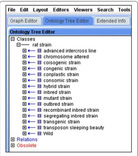 Figure 1 RS Ontology as viewed in OBO-Edit2 with rat straintypes displayed as different first level nodes.