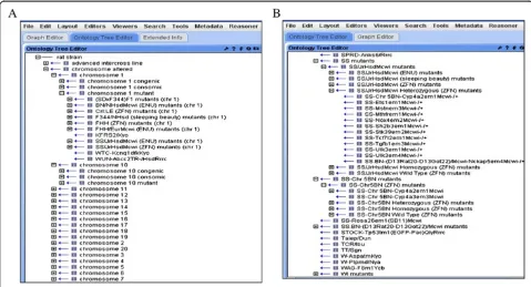 Figure 3 Classical tree view showing A. chromosome altered B. ZFN mutant strains.