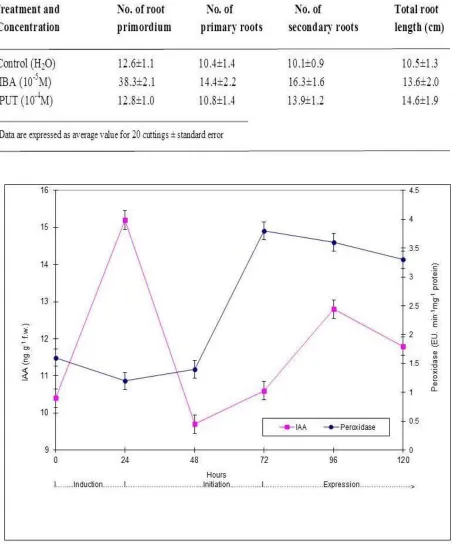 Table 1: Effect of IBA (10-5M) and PUT (10-4M) on adventitious Root formation of Stem Cuttings of Vigna radiata L