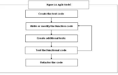 Figure 1.4: Agile Model 