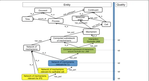 Figure 2 Outline of an ontology of cell mechanisms and its use to describe cell transitions.changes:many of them there have been before