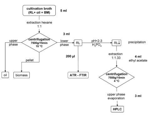 Figure 4Sampling proceduresSampling procedures. This figure shows the schematic proceedings for the applied sample extraction from culture broths.