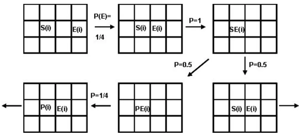 Figure 1ibeing the number of unoccupied neighboring cells; probability equal to 1 is postulated for substrate, product, enzyme, substrate/enzyme and product/enzyme, respectively