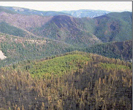 Figure 4.  In 2000, the Lost Packer Meadow fire burned around fires that burned in 1990 and 1996, forming a pattern of burned and unburned areas.