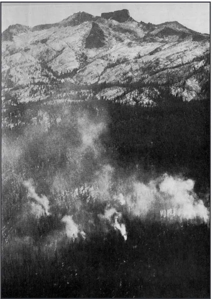 Figure 1.  The Ball Dome fire in Sequoia and Kings Canyon National Parks is typical of many fires that have burned as part of the wildland fire use program in the Sierra Nevada national parks