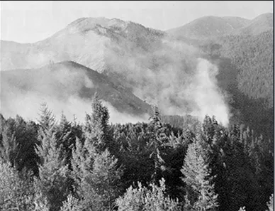 Figure 2.  The Fritz Creek fire in 1973 was the first large fire to occur in the White Cap Fire Management Area of the Selway-Bitterroot Wilderness on the Bitterroot National Forest.