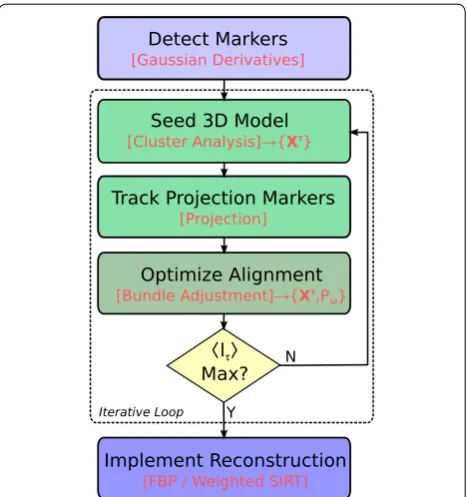 Fig. 11 Flow chart describing the automation process for a single then estimated for each marker, and the projection maps refined with a bundle adjustment procedure