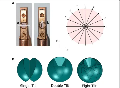 Fig. 1 Protocol for acquiring multiple tilt series. A Between each series, the sample is rotated within the goniometer holder (left side) following an orientational multilevel access scheme (MAS) that optimizes the reconstruction space sampling