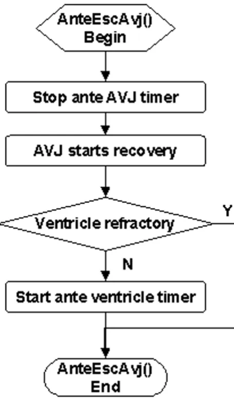 Figure 10wave completing AV delay and escaping the AVJFlowchart of the AnteEscAvj service called upon antegrade Flowchart of the AnteEscAvj service called upon antegrade 