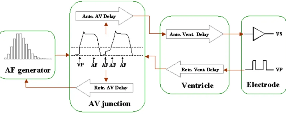 Figure 3 shows the top-level flowchart of the simulationmodel. The software loads the model parameters from anexternal configuration file (see Appendix A for an exam-ple), and then initializes variables that include varioustimers and counters as being summ