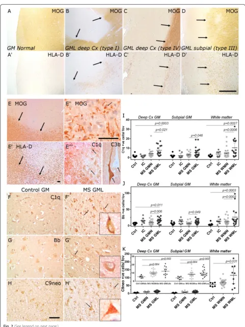 Fig. 2 (See legend on next page.)
