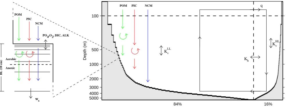 Fig. 2. Ocean and ocean sediment conﬁgurations. Both low-mid latitude and high latitude ocean sectors are continuously-stratiﬁed with100 m vertical resolution to maximum depths of 5500 m and each sector has a bottom topography based on real ocean depth dis