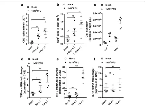 Fig. 3 IL-33 expression in CNS-infiltrating cells. a Frequency of F4/80+ cells in the CNS of false infected WT mouse (WT mock), analyzed by FACS.Frequency of F4/80+ cells isolated from 1.106 PFU ROCV-infected mouse 7 days after infection