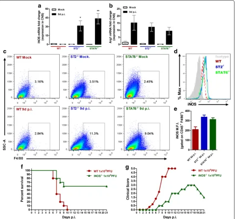 Fig. 6 IL-33 and nitric oxide participates on ROCV-induced encephalitis. a iNOS mRNA expression in the brain of WT, ST2−/−- and STAT6−/−-in-fected mice