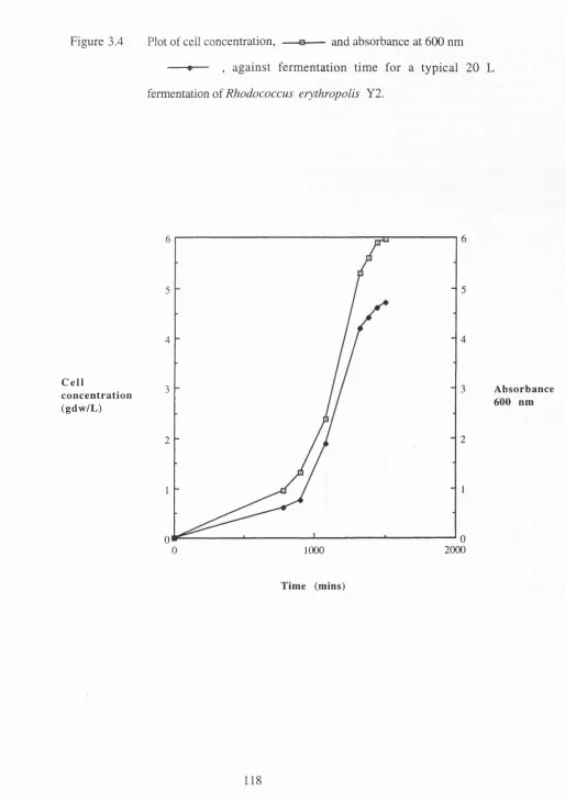 Figure 3.4 Plot of cell concentration,