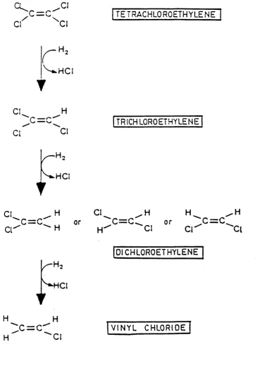 Figure 1.2 The possible pathway for the reductive dehalogenation of 