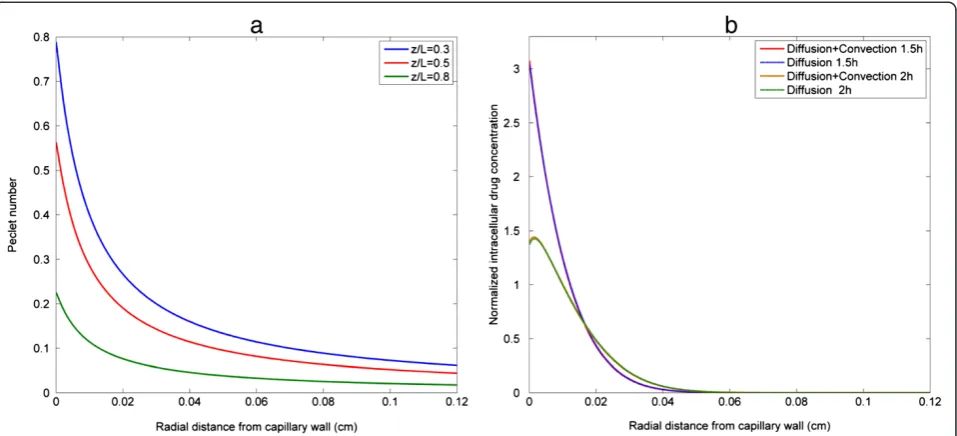 Figure 4 Role of diffusion and convection in drug transport. (a) cross-sectional profiles of Pe number at various axial positions in tumourinterstitium, (b) quantitative comparison of normalized intracellular drug concentration at axial location z/L = 0.5 