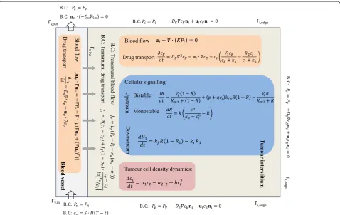 Figure 2 Overview of mathematical descriptions involved in each domain with corresponding boundary conditions