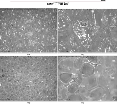 Figure 4. Rigid PU foam behavior when exposed to compressive load, stopped before hardening