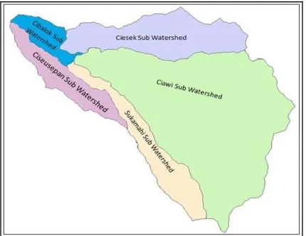 Figure-2. Distribution the upstream Ciliwung into 5 sub watershed.  