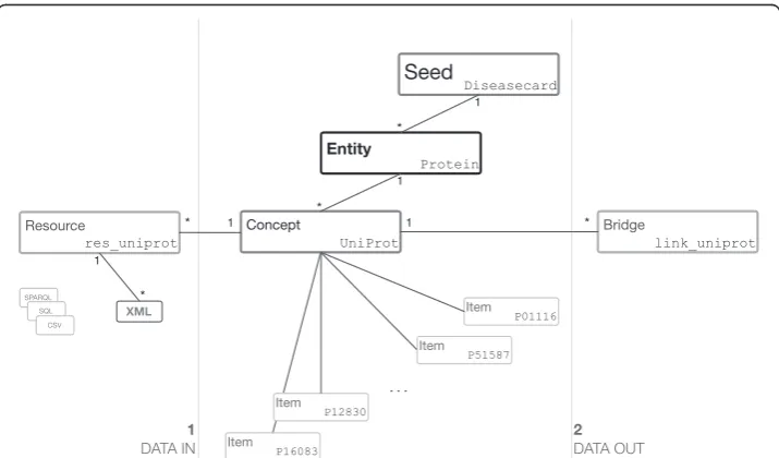 Figure 1 COEUS ontology model for the internal tree-based structure highlighting relationshipsdisplay data (to one or more concepts