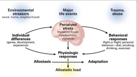 Figure 1.1. A schematic representation of the physiological and behavioral response to stress