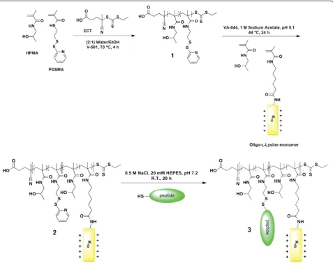 Table 1 Characterization of lipid substitution on p[HPMA-co-K10] copolymers