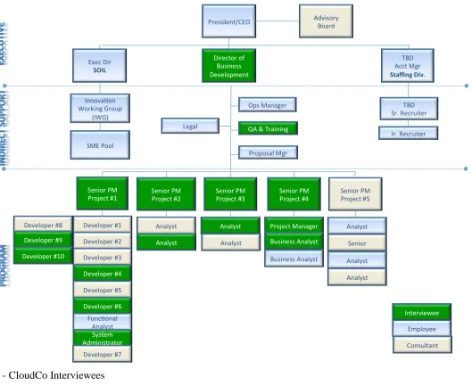Figure 2 - CloudCo Interviewees 