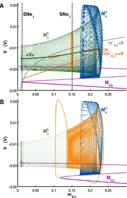 Figure (2.5). Structure of the manifolds of slow motion. (A) The slow motion mani-folds for parameter values of both the SNIC and the blue sky catastrophe calculated at θ∗h.The stable and unstable portions of the slow motion manifold for oscillations are r