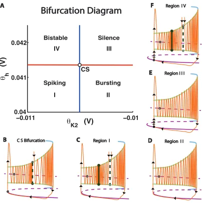 Figure (2.6). Diagram of the cornerstone bifurcation (CS). Caption continued on