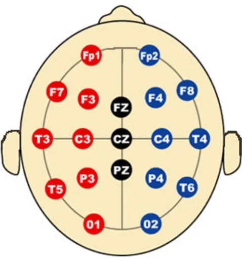 Figure 7EEG 10–20 Electrode/Channel PlacementEEG 10–20 Electrode/Channel Placement. The chan-nels correspond to the number from 1 to 19 starting from the left to right and top to bottom