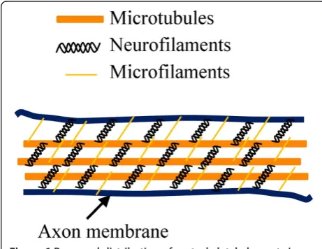 Table 2 Results of one-way ANOVA to compare forces at maximum deformation (0.8 μm) between control anddrug-treated neural cells
