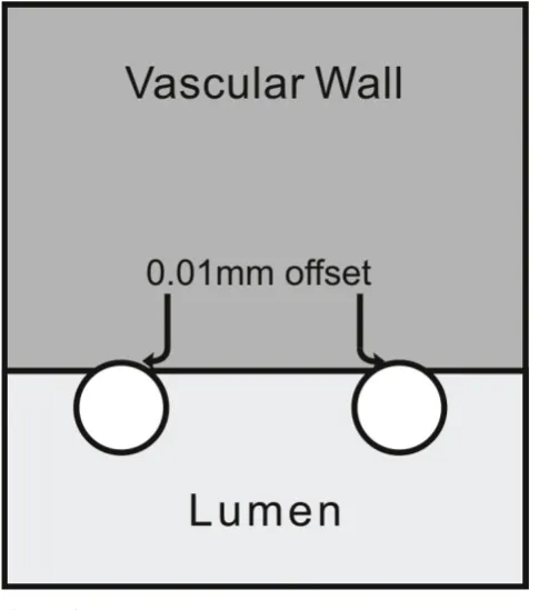 Table 1: Summary of boundary conditions