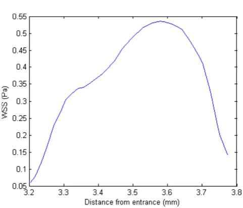 Figure 7Wall shear stress plot of a 3D transient model