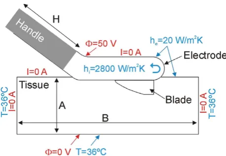 Figure 4Theoretical model considered in the computermodeling study (out of scale). The sketch only shows thesymmetry plane cutting the applicator (handle + electrode +blade)