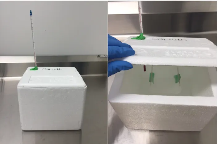 Figure 2 Styrofoam cold exposure chamber 