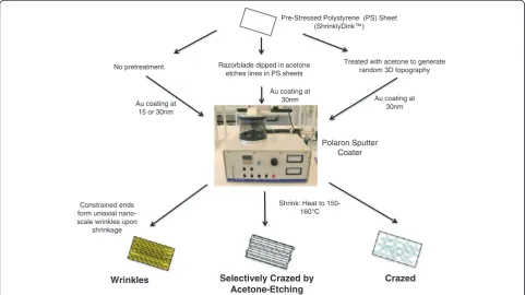 Figure 1 Microchip Fabrication. Flowchart of three fabrication methods for the different topographies