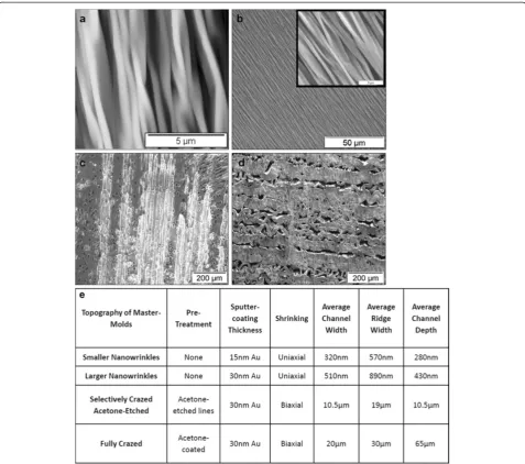 Figure 2 AFM and SEM Images of the surface topography on wrinkled, selectively crazed acetone-etched channels, and crazedmicrochips
