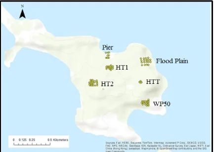 Figure 8.2 Shovel test pit locations on island 
