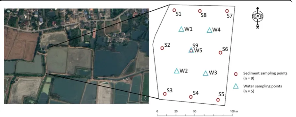Fig. 1 Map of shrimp farm study area with water and sediment sampling locations