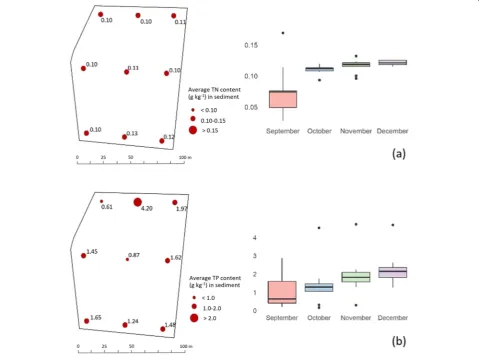 Fig. 3 Spatio-temporal variations of (a) total nitrogen and (b) total phosphorus in the sediment during a 90-d crop cycle