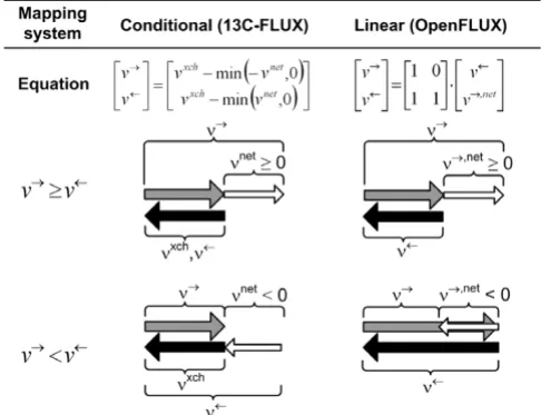 table consisting of seven columns, three metabolite lists